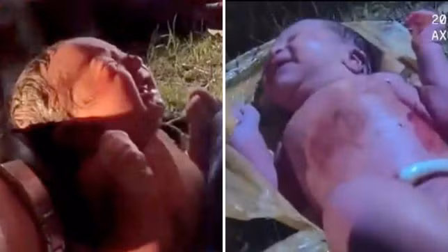 Xuc dong canh giai cuu be so sinh tu tui rac vut trong rung-Hinh-2