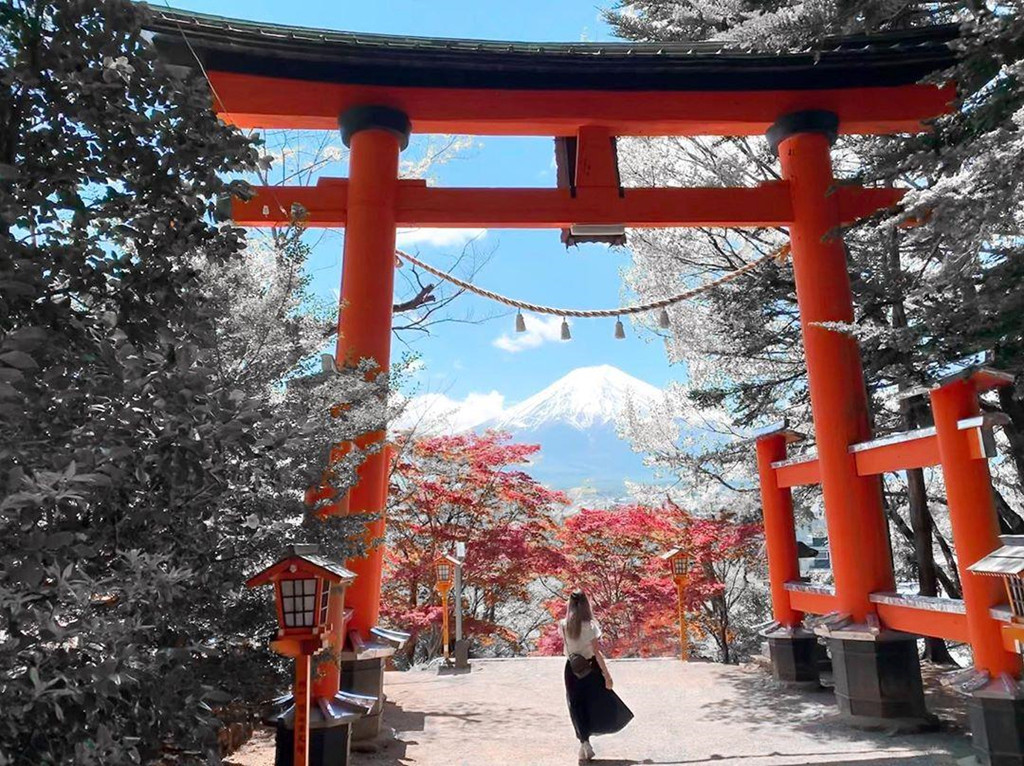 Để lên đến chùa Chureito, du khách phải vượt qua hành trình dài khoảng 397 bậc. Hình ảnh núi Phú Sĩ, ngôi chùa đỏ, hoa anh đào nở rực cả một góc trời đã trở thành một trong những hình ảnh hoàn hảo về đất nước Nhật Bản trong tưởng tượng của rất nhiều khách du lịch nước ngoài đến với đất nước. Ảnh: Molllified, Herrokelly.