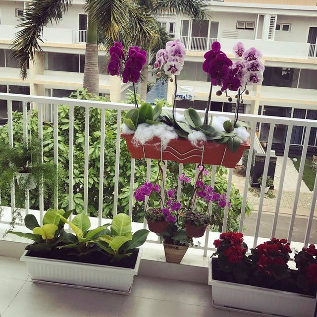 Không chỉ sân vườn, ban công cũng ngập tràn hoa lá.