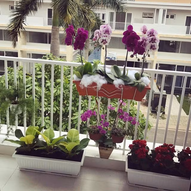 Không chỉ sân vườn, ban công cũng ngập tràn hoa lá.