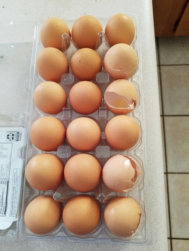 Có người thì giữ lại từng cái vỏ trứng đã qua sử dụng thế này đây.