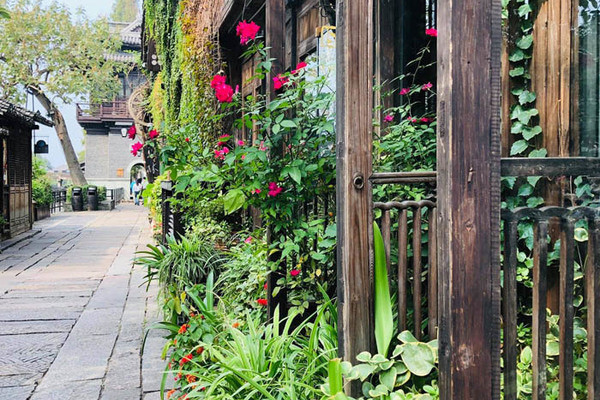 Vung trom voi co tho ho, nam ky su lang nguoi truoc cau noi cua vo