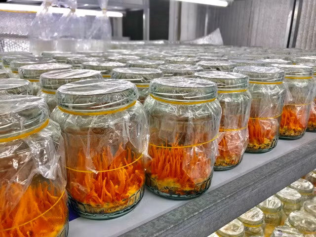 Bo luong 14 trieu/thang ve que trong “sieu nam” kiem 500 trieu/nam-Hinh-3