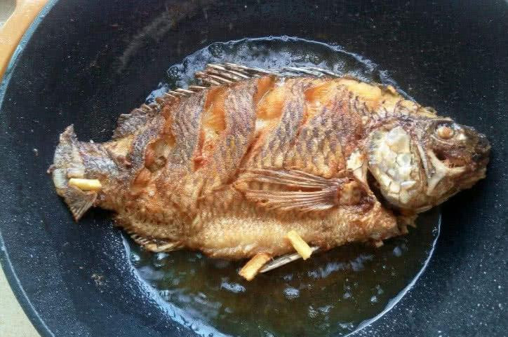 Chi can bo them thu nay, ran ca khong bi bong da lai con gion ngon-Hinh-2