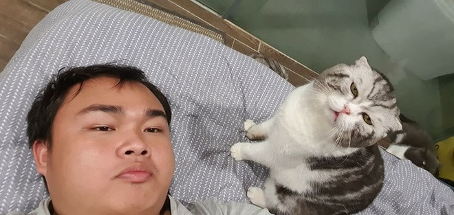 Chu meo o Viet Nam gay bao mang voi meme 'dau o day nay'-Hinh-2