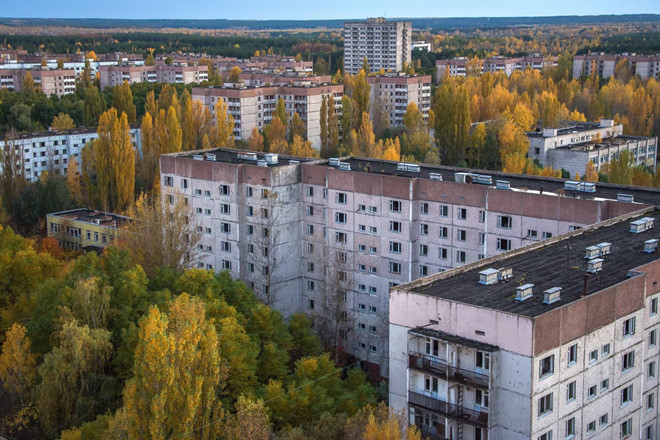 Sau 33 năm chìm vào quên lãng, thành phố ám màu chết chóc ngày nào giờ mang diện mạo tươi sáng hơn. Khi không có người sinh sống, nơi đây trở thành thiên đường hoang dã. Thiên nhiên phát triển tươi tốt dù phóng xạ đo được hiện tại vẫn ở mức cao. Ảnh: Shutterstock.