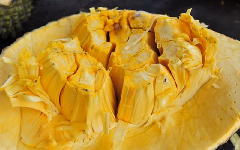 Chống oxy hóa: Mít là một nguồn cung cấp tốt của vitamin C giúp chống oxy hóa. Tiêu thụ thực phẩm giàu vitamin C giúp cơ thể miễn dịch với nhiễm trùng và các gốc tự do có hại.