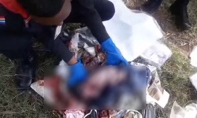 Hai hung phat hien em be so sinh trong dong rac