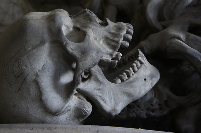 Phat hien 40 dau lau trong hang o bang dang ma tuy Mexico