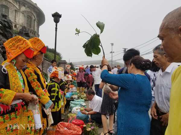 Man nhan la liet dac san doc la tu nui rung tren dinh Mau Son