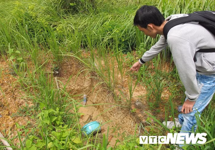 Nhung chuyen trom xac ly ky o nghia dia toan toi nhan noi tieng-Hinh-2