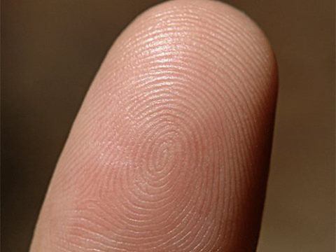 Nếu vân tay xuất hiện ở ngón tay cái bên trái, bạn là người giỏi giang, tự tin và có khả năng lãnh đạo. Ngược lại, nếu vân tay xuất hiện ở ngón tay cái bên phải, bạn là người có vận đào hoa, được nhiều người theo đuổi nhưng yêu ai cũng khó thành.