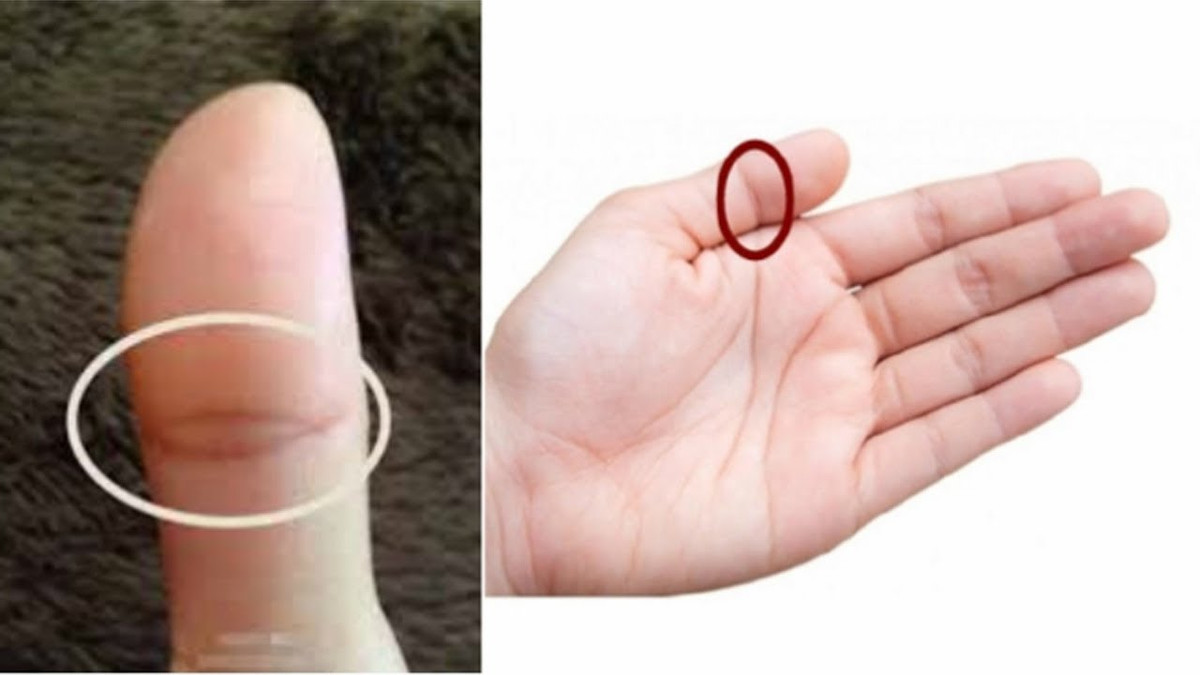 Ngược lại, nếu ngón cái xa với 4 ngón tay còn lại, họ là người có tính kiên trì, chịu thương chịu khó, khả thích nghi với môi trường tốt và sức chịu áp lực công việc tốt. Chính vì những đặc điểm đó mà những người này thường dễ dàng có được vị trí, tiếng nói trong công ty và xã hội, tiền bạc dồi dào ngay từ khi còn rất trẻ.