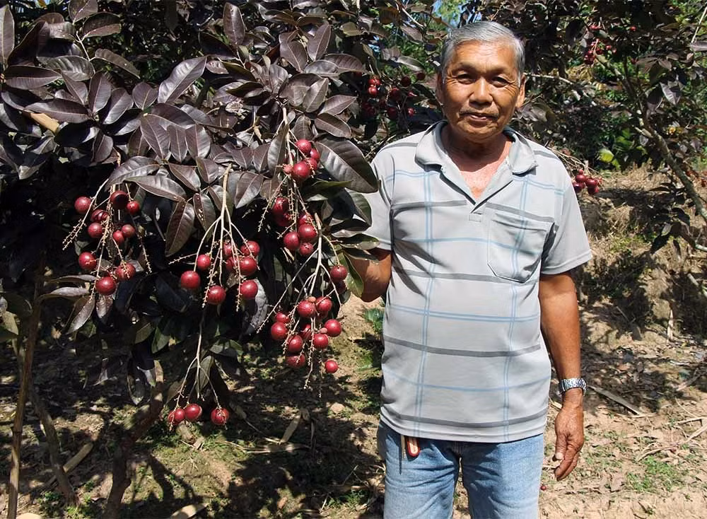 Lao nong tu choi ban nhan tim cho khach Trung Quoc