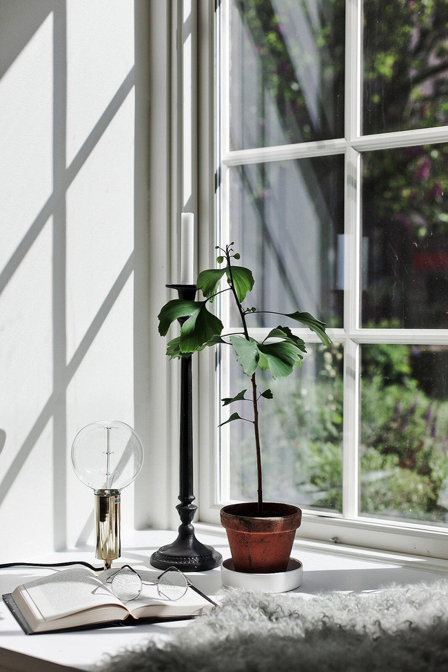 Góc đọc sách lý tưởng với view đẹp của căn hộ nhỏ.