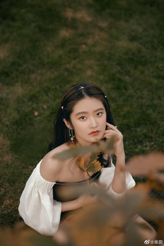 Không chỉ có diễn xuất tốt, nhan sắc và vóc dáng của Sài Úy cũng nhận được nhiều khen ngợi. Vẻ đẹp dịu dàng, man mác buồn của nữ diễn viên được so sánh với tiền bối Lâm Thanh Hà. Ở tuổi 17, cô bé đã sở hữu chiều cao lý tưởng 1,68 m. Sài Úy thường xuyên nằm trong danh sách những sao nhí thành công, nổi tiếng ở Trung Quốc.