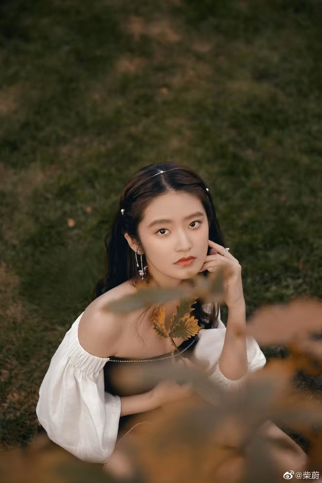 Không chỉ có diễn xuất tốt, nhan sắc và vóc dáng của Sài Úy cũng nhận được nhiều khen ngợi. Vẻ đẹp dịu dàng, man mác buồn của nữ diễn viên được so sánh với tiền bối Lâm Thanh Hà. Ở tuổi 17, cô bé đã sở hữu chiều cao lý tưởng 1,68 m. Sài Úy thường xuyên nằm trong danh sách những sao nhí thành công, nổi tiếng ở Trung Quốc.