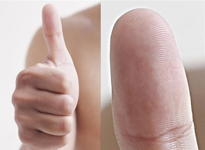 Người có 5 hoa tay: Người sở hữu 5 hoa tay là quý nhân của gia đình. Nhà nào có người sở hữ 5 hoa tay lại là con gái thì cực kì may mắn. Người này vốn sinh ra ở một gia đình có nền tảng tốt lại còn thông minh, có trách nhiệm, có chí tiến thủ nên từ bé được bao bọc, lớn lên lại giúp đỡ lại người thân trong nhà. 