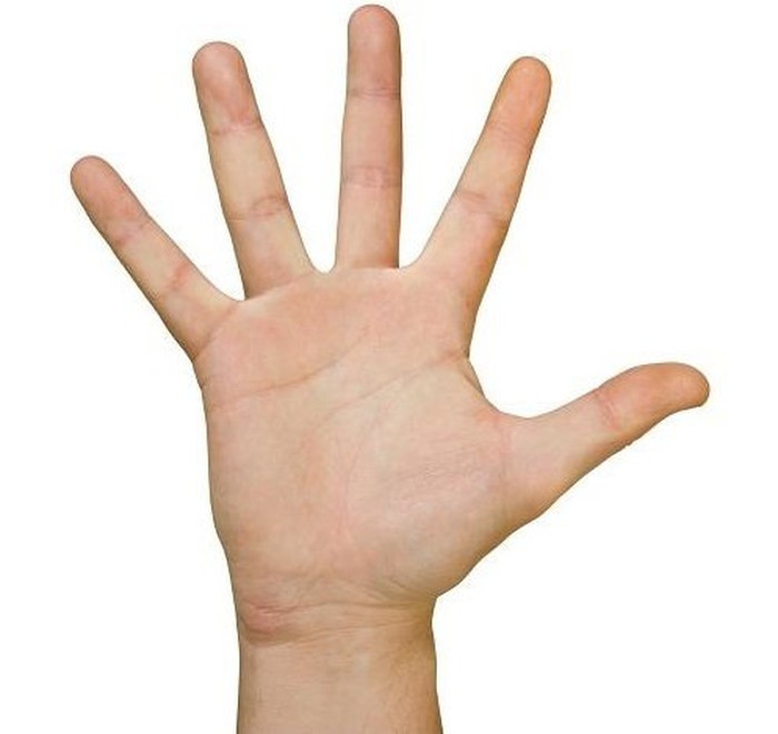 Có 1 hoa tay: Người nào chỉ có 1 hoa tay cực kì khéo léo trong giao tiếp và có nhiều tài lẻ. Người này độc lập, có tâm lý tốt, có năng lực lãnh đạo và đặc biệt rất quyết đoán trong công việc. Nhờ điều này mà họ có thể khiến cấp trên hài lòng. Sở trường của họ thực sự khiến họ thu hút đám đông, làm cho người khác vừa kính vừa nể. Tình cảm của người có 1 hoa tay cũng khá ổn, lấy được chồng giỏi giang, không phải là đại gia ngay từ đầu thì cũng là người kiếm tiền rất giỏi. Khi 40 cả vợ cả chồng đều sung túc, có cơ hội thành đại gia, quyền lực đầy người khiến bao người ngưỡng mộ. 