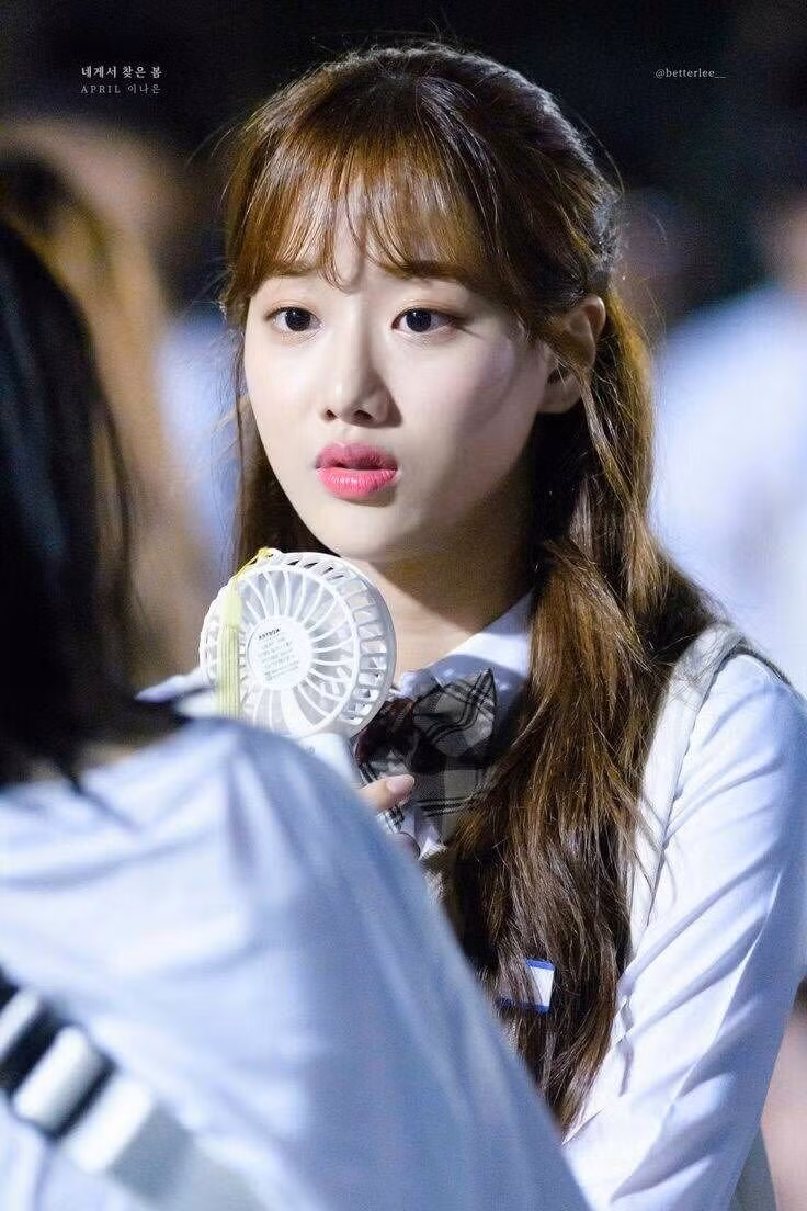 Lee Na Eun: Từng là thực tập sinh của JYP, sau đó đầu quân cho DSP và debut trong nhóm nhạc April vào năm 2015, Na Eun đã hoạt động được ở showbiz 3 năm với tư cách idol song nhóm nhạc của cô vẫn không được công chúng biết đến.