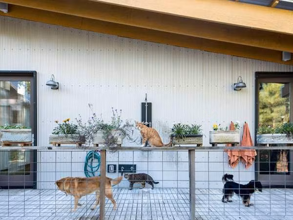 Chỗ cho vật cưng.