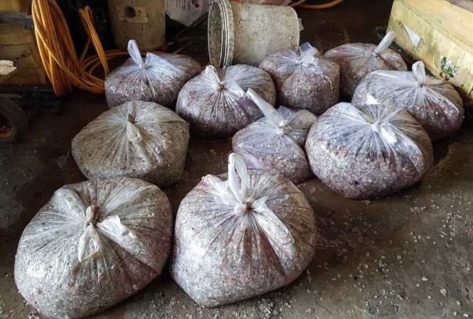 Bi an nhung thuong lai di mua vay ca