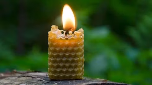 Lam sach khong khi trong nha, de ma hieu qua chi voi 5 dieu nay