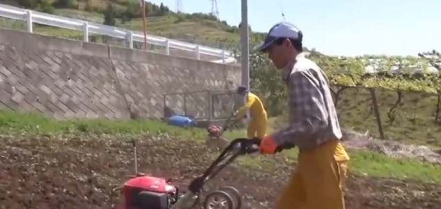 Đất trồng được xới cẩn thận để đảm bảo độ tơi xốp. (Ảnh: Noal farm)