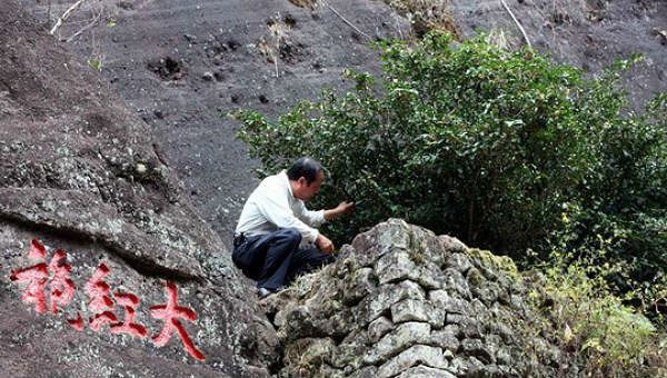 Tra dat hon vang rong 9999: “Dai gia” nhap mot ngum ton… ca trieu