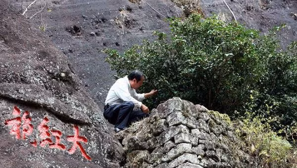 Tra dat hon vang rong 9999: “Dai gia” nhap mot ngum ton… ca trieu