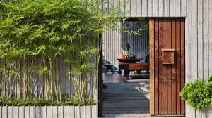 Tre, trúc có thể trồng xung quanh hàng rào, trước hiên nhà hoặc trong vườn. Tùy theo diện tích và không gian rộng hay hẹp mà bạn có thể chọn loại tre, trúc cảnh phù hợp.