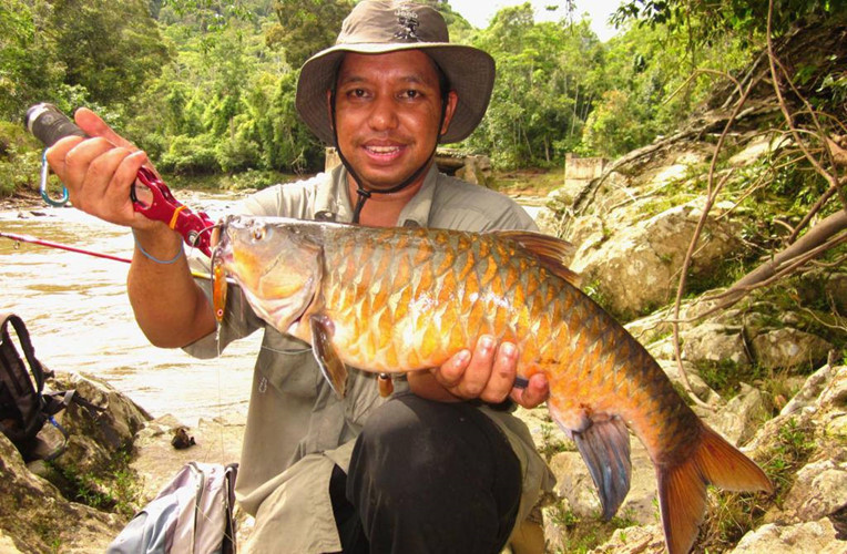 Cách chế biến cá Empurau phổ biến nhất là hấp. Ngoài ra, cá còn thể nấu thành món cà ri.