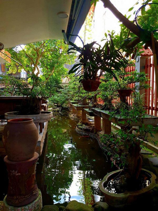 Giữa sự đan xen đó là sắc xanh nhã nhặn và mát mắt của cây cối khiến khu biệt thự tuy rộng rãi nhưng không trống trải. Người hâm mộ còn ví nhà của cặp đôi chả khác nào khu resort cao cấp.