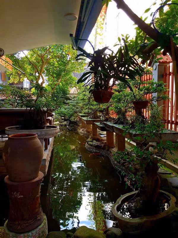 Giữa sự đan xen đó là sắc xanh nhã nhặn và mát mắt của cây cối khiến khu biệt thự tuy rộng rãi nhưng không trống trải. Người hâm mộ còn ví nhà của cặp đôi chả khác nào khu resort cao cấp.