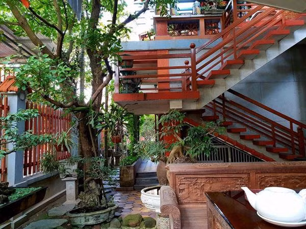 Không gian trần ngập cây xanh tạo cảm giác mát mẻ, trong lành. Đủ các loại cây cảnh đều “tụ tập” ở nơi nàyNgoài hành lang lối vào nhà không chỉ có cây cối, hoa cỏ mà còn có những chiếc lục bình cổ cao 2m. Sự phối hợp đan xen giữa phong cách cổ điển của đồ đạc, nội thất và lối kiến trúc biệt thự sân vườn hiện đại tạo nên những mảng màu sắc riêng.