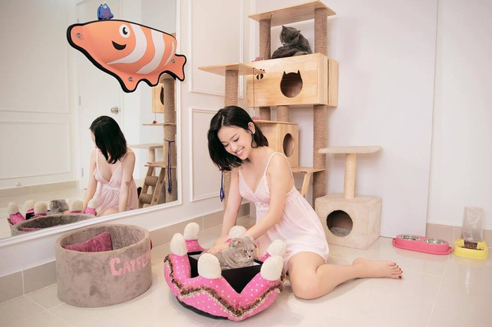 Vì thích nuôi mèo, cô hotgirl thị phi dành riêng hẳn cho mèo cưng của mình một góc.