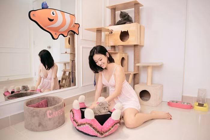 Vì thích nuôi mèo, cô hotgirl thị phi dành riêng hẳn cho mèo cưng của mình một góc.