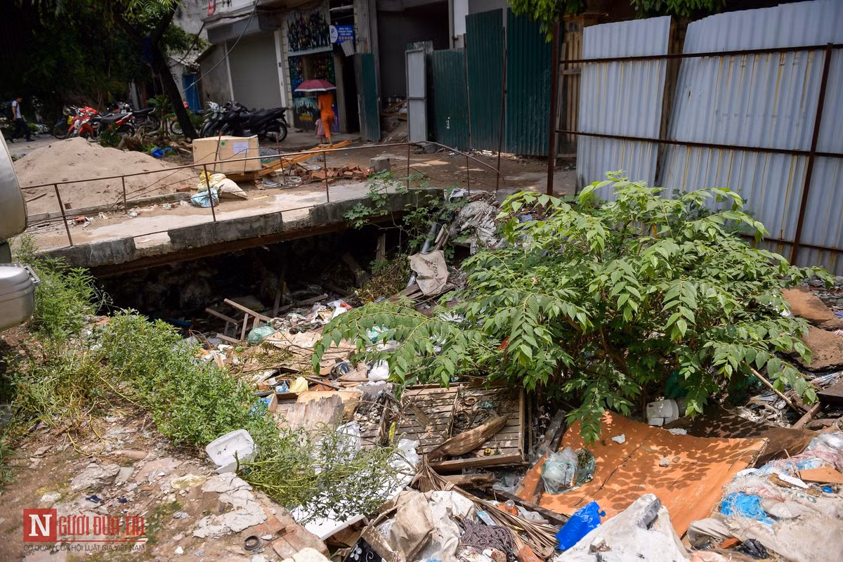 Nằm sát đoạn mương này còn khoảng 300m2 đất đã GPMB để làm vỉa hè thuộc dự án cống hóa mương T2C, nhưng bị bỏ hoang.