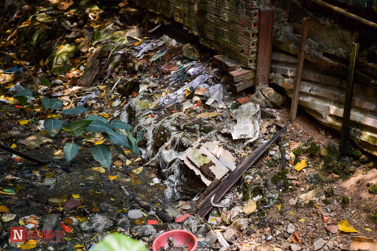 Trao đổi với phóng viên báo Người Đưa Tin, một lãnh đạo phường Ngọc Hà (quận Ba Đình) cho biết, đã báo cáo lên lãnh đạo UBND quận Ba Đình, hy vọng sẽ xử lý sớm nhất để đảm bảo cuộc sống cho người dân.