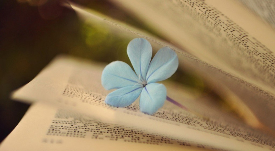 Het thay nhung gap go tren doi deu do nhan duyen