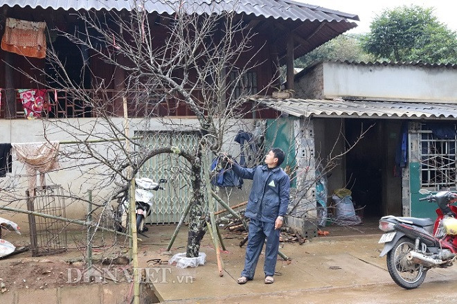 “San” dao rung: Nguy hiem lai bi mang xoi xoi, nhieu nguoi van ham-Hinh-2