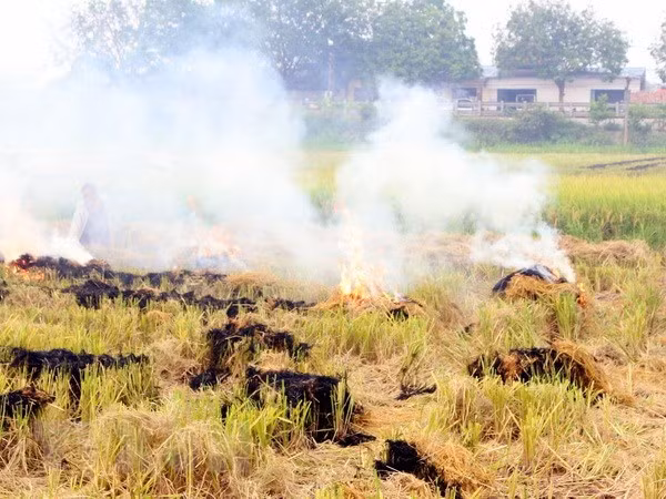 Vi sao khong khi Ha Noi va cac tinh dong bang Bac Bo o nhiem keo dai?-Hinh-2