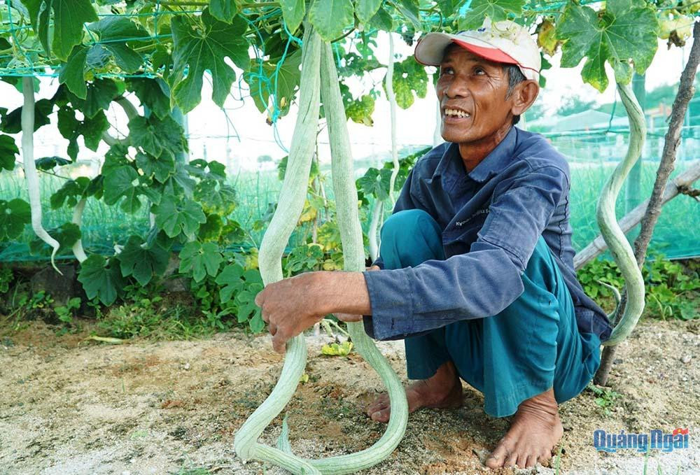 Ông Thống bên quả mướp rắn màu trắng dài 2 m.