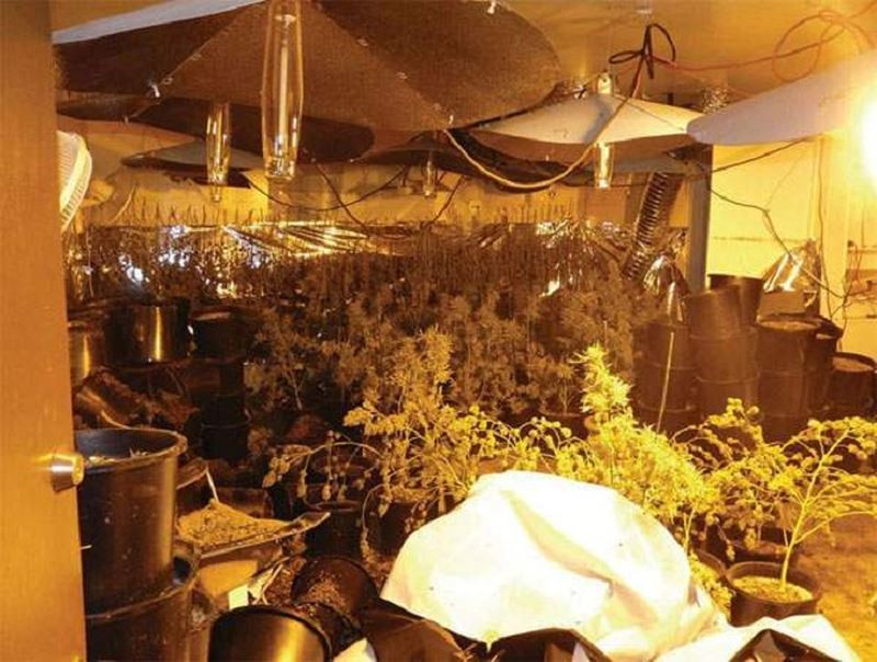 Bi kich hoa hau goc Viet xinh dep goi cam vao tu vi ban can sa-Hinh-2