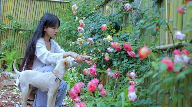 Không chỉ được yêu mến bởi vẻ ngoài xinh xắn, Lý Tử Thất còn được ngưỡng mộ với những clip sáng tạo, độc đáo. Ngôi nhà cổ kính, khu vườn đẹp như tranh vẽ trong những vlog của "thần tiên tỷ tỷ" khiến dân mạng không khỏi ghen tỵ, mơ ước.