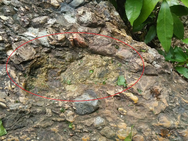 Bi an dau chan nguoi ky la tren da va loi nguyen ngan nam