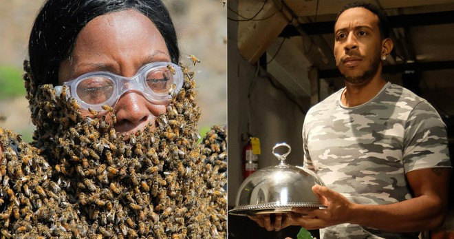 Fear Factor tạm dừng sản xuất vào năm 2006. Từng hồi sinh năm 2011 và hủy vĩnh viễn một năm sau đó. Gần nhất, chương trình được MTV tái sản xuất vào năm 2017. Rapper, diễn viên Ludacris đảm nhận vai trò dẫn chương trình.