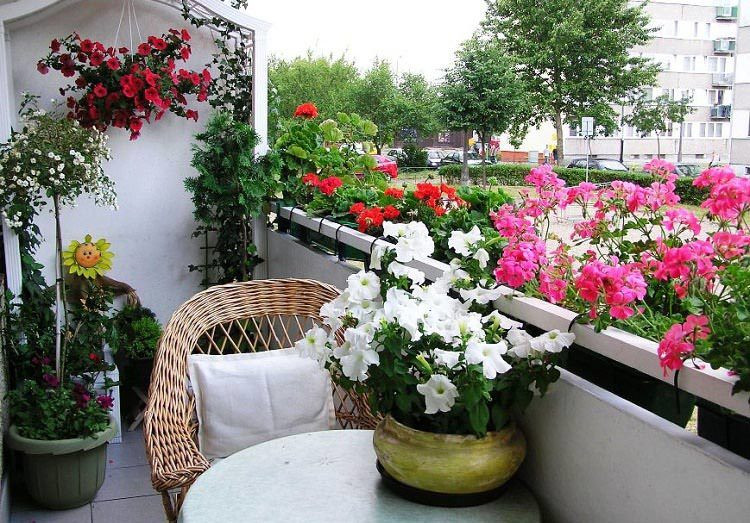 Ảnh: Balcony Garden