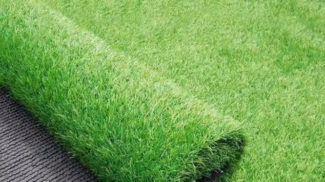 SEA Games 30: Le lang, ai thich thi choi