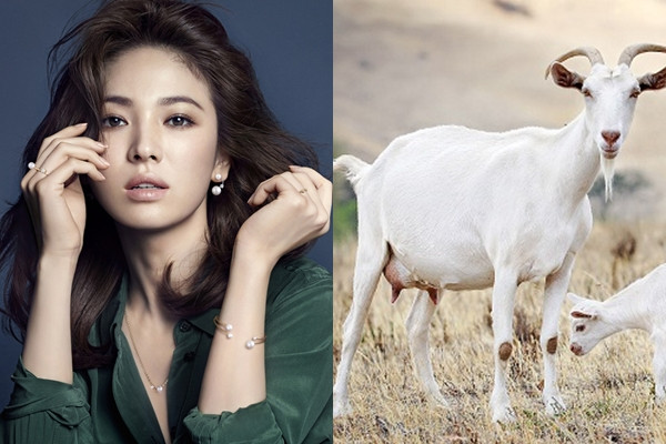 4 con giap tha ho nhan tien li xi moi tay trong dip Tet 2019